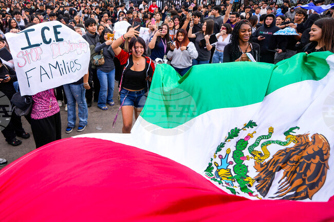 Immigration Police Cooperation