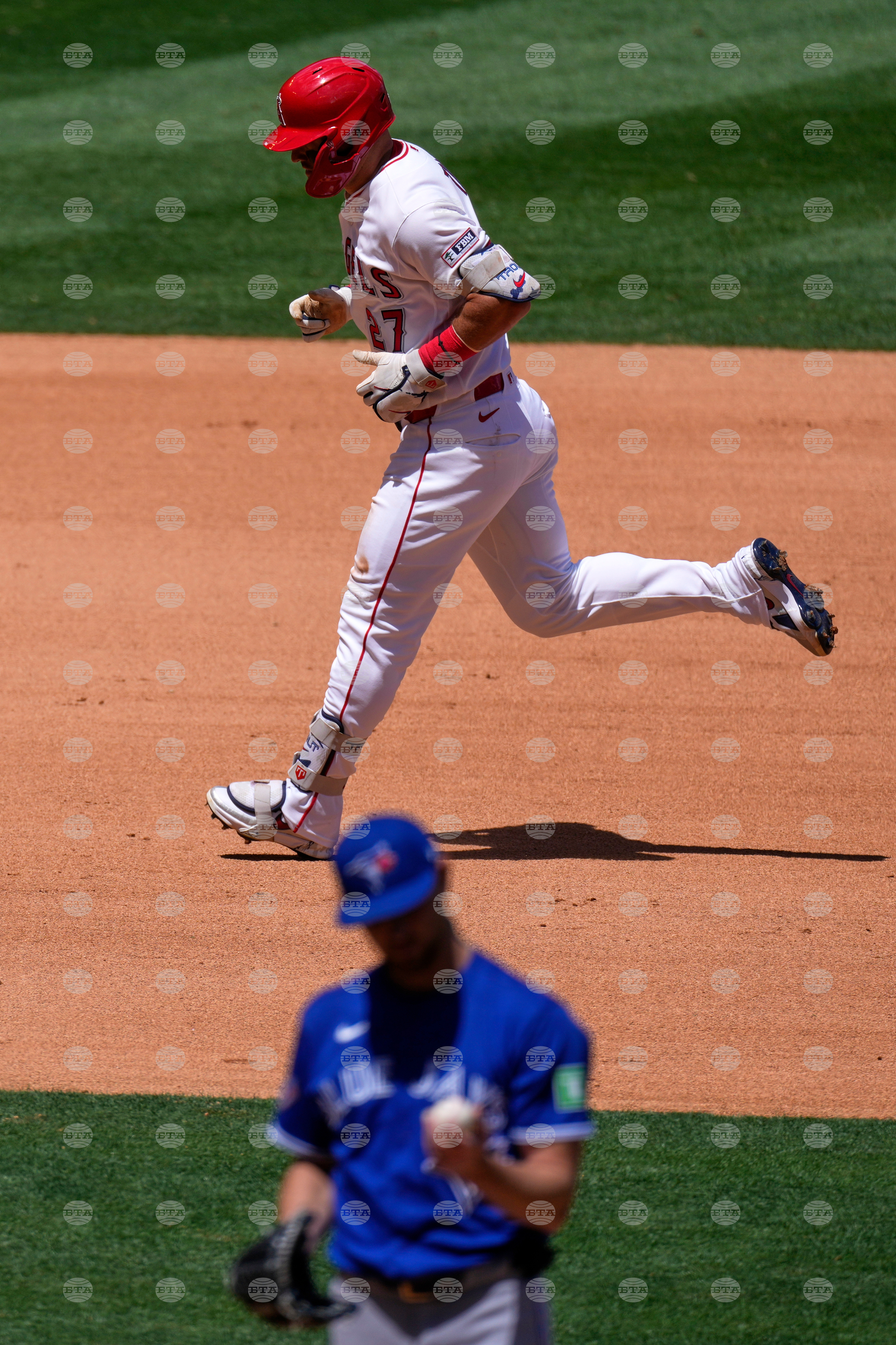 Blue Jays Angels Baseball