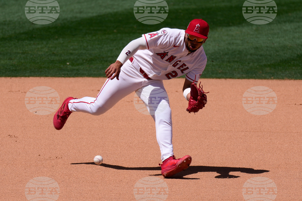 Blue Jays Angels Baseball