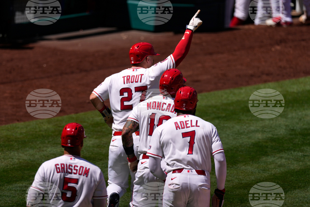 Blue Jays Angels Baseball