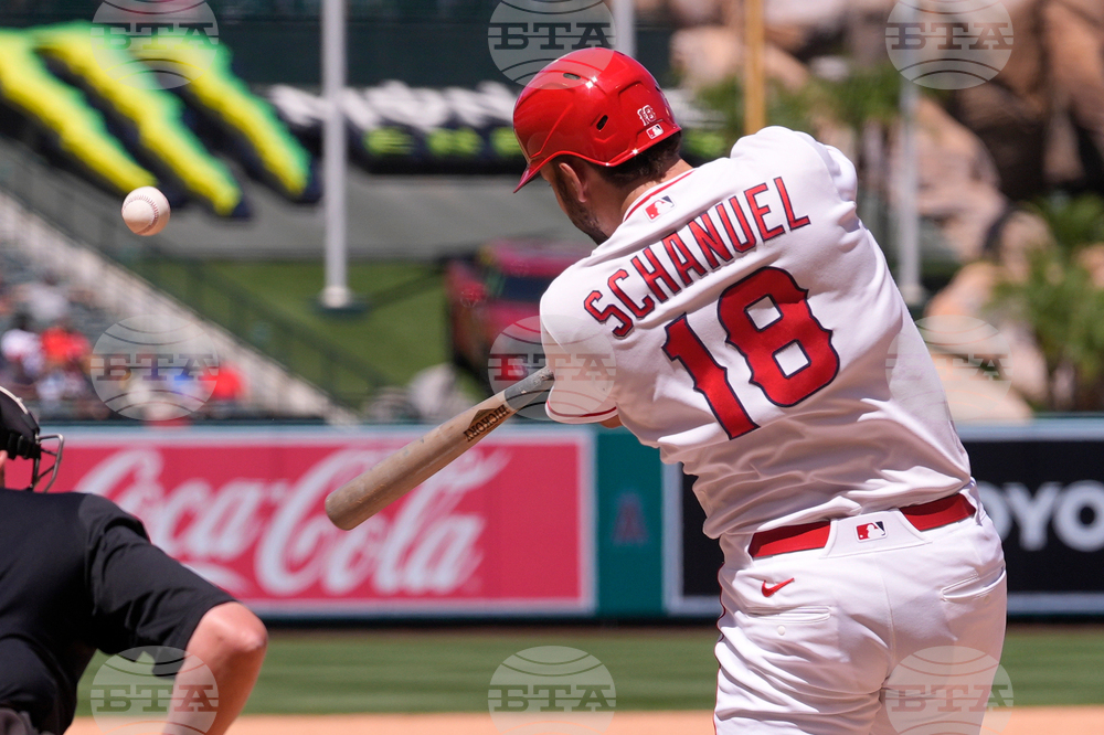 Blue Jays Angels Baseball