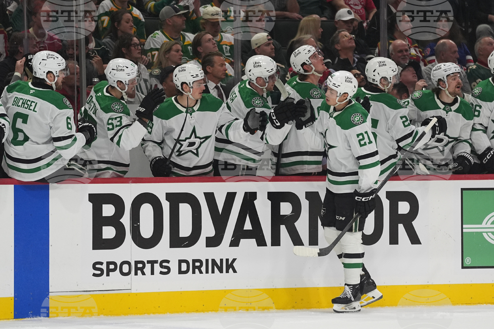 Stars Wild Hockey