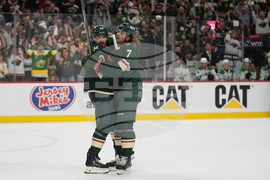 Stars Wild Hockey