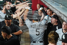 White Sox Diamondbacks Baseball