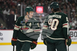 Stars Wild Hockey