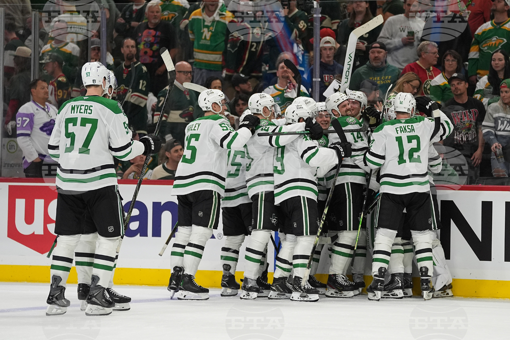 Stars Wild Hockey