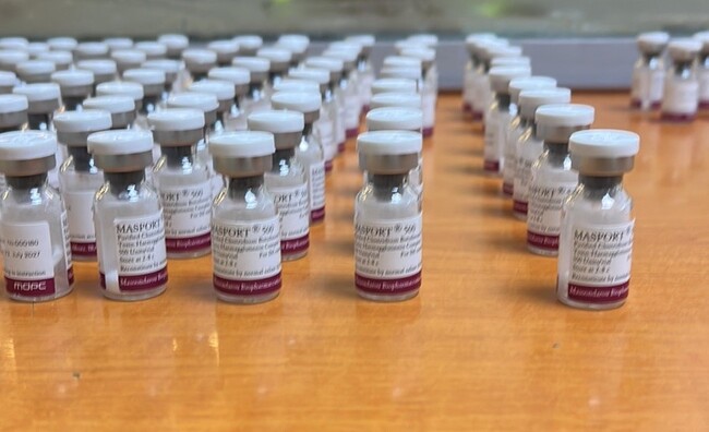 Митничари на "Капитан Андреево" предотвратиха опит за контрабанда на ботокс от Турция у нас