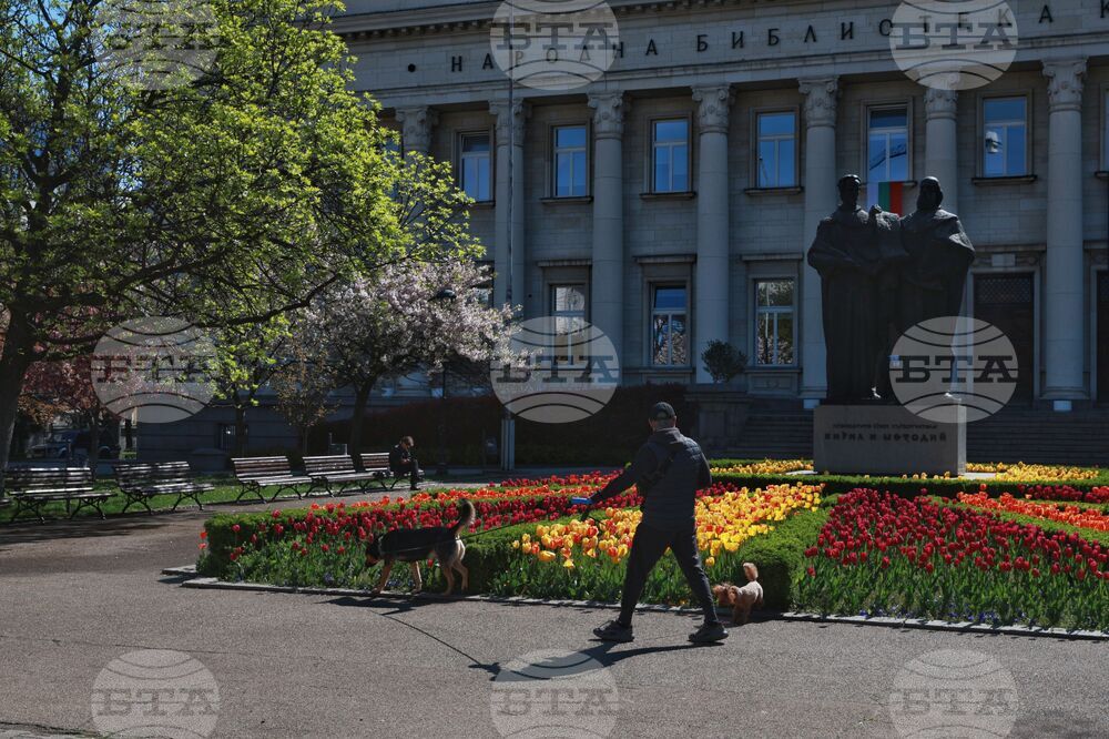 Национална библиотека „Св. св. Кирил и Методий“