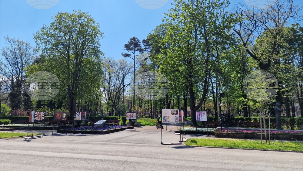 Шумен - изложба „Драсканици от задния чин“ - Михаил Методиев