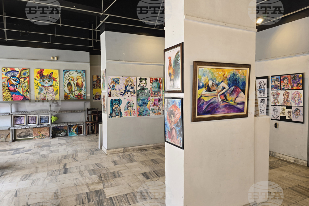 Кърджали - дебютна изложба - „Мелиса в страната на чудесата“