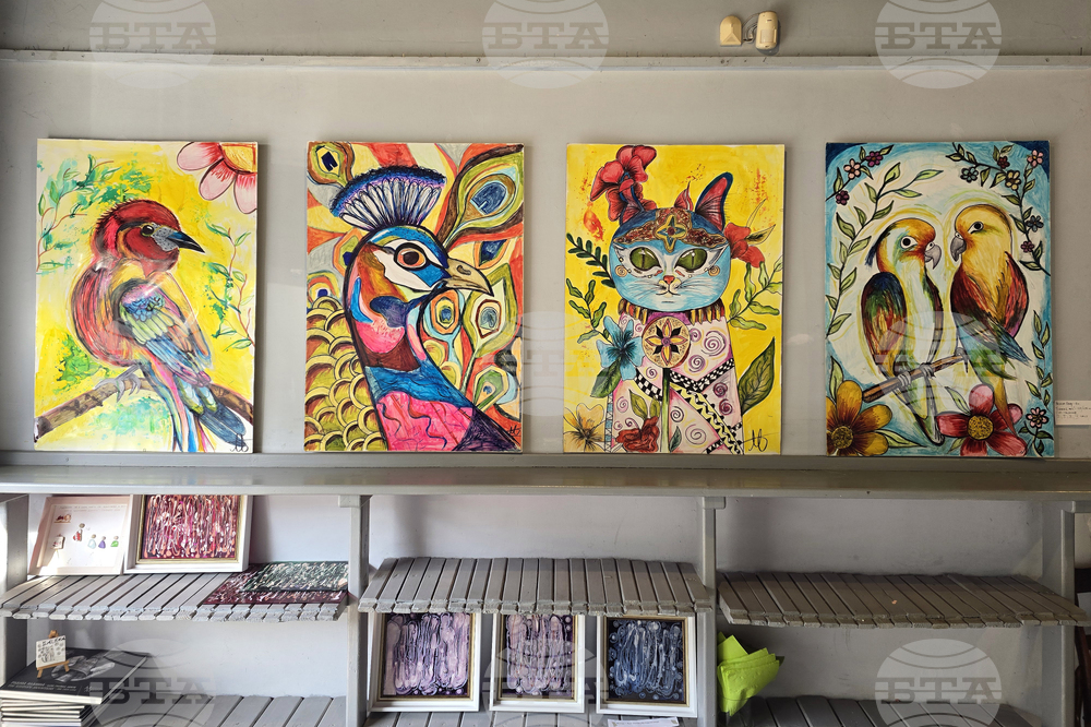 Кърджали - дебютна изложба - „Мелиса в страната на чудесата“