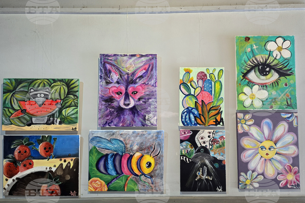 Кърджали - дебютна изложба - „Мелиса в страната на чудесата“