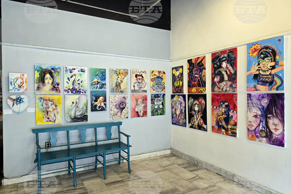 Кърджали - дебютна изложба - „Мелиса в страната на чудесата“