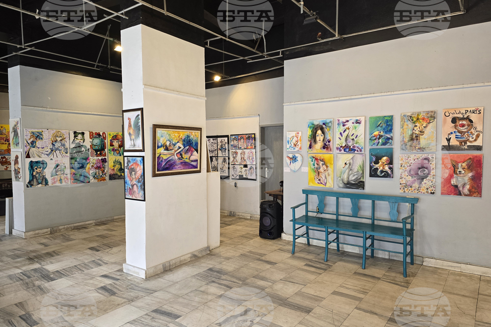 Кърджали - дебютна изложба - „Мелиса в страната на чудесата“