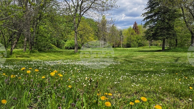 Sofia Mayor Says New Borisova Gradina Development Plan Will Protect Park