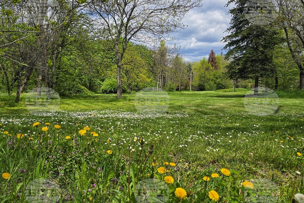 Sofia Mayor Says New Borisova Gradina Development Plan Will Protect Park