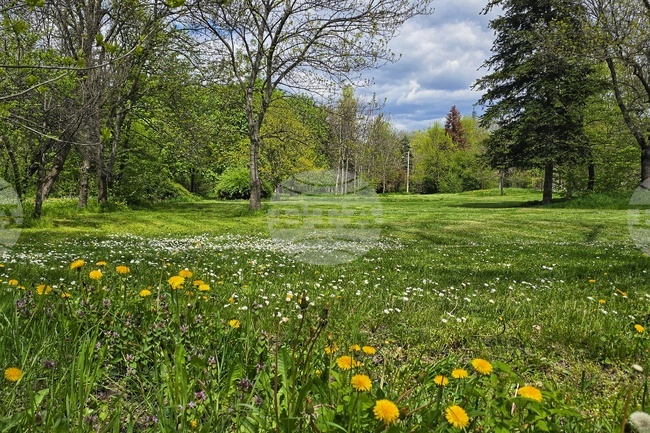 Sofia Mayor Says New Borisova Gradina Development Plan Will Protect Park