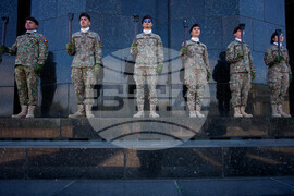 Romania Land Forces Day