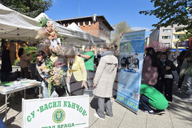 Враца - Панорама на образованието