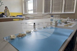 Видин - иновативно обучение - откриване