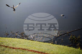 Zurich Classic Golf