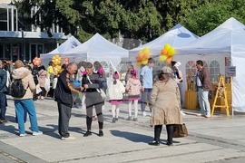 Силистра - Панорама на образованието „Виж училището“