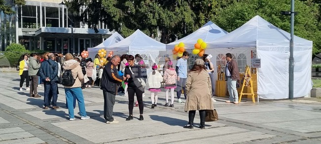 Силистра - Панорама на образованието „Виж училището“