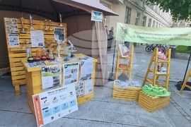 Силистра - Панорама на образованието „Виж училището“