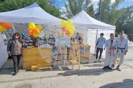 Силистра - Панорама на образованието „Виж училището“