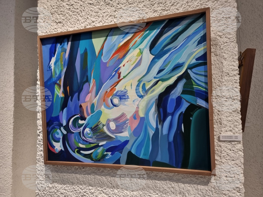 Добрич - „Цветни съзвучия“ - изложба