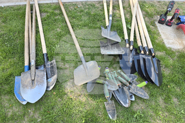 Видин - крайдунавски парк - залесяване - инициатива