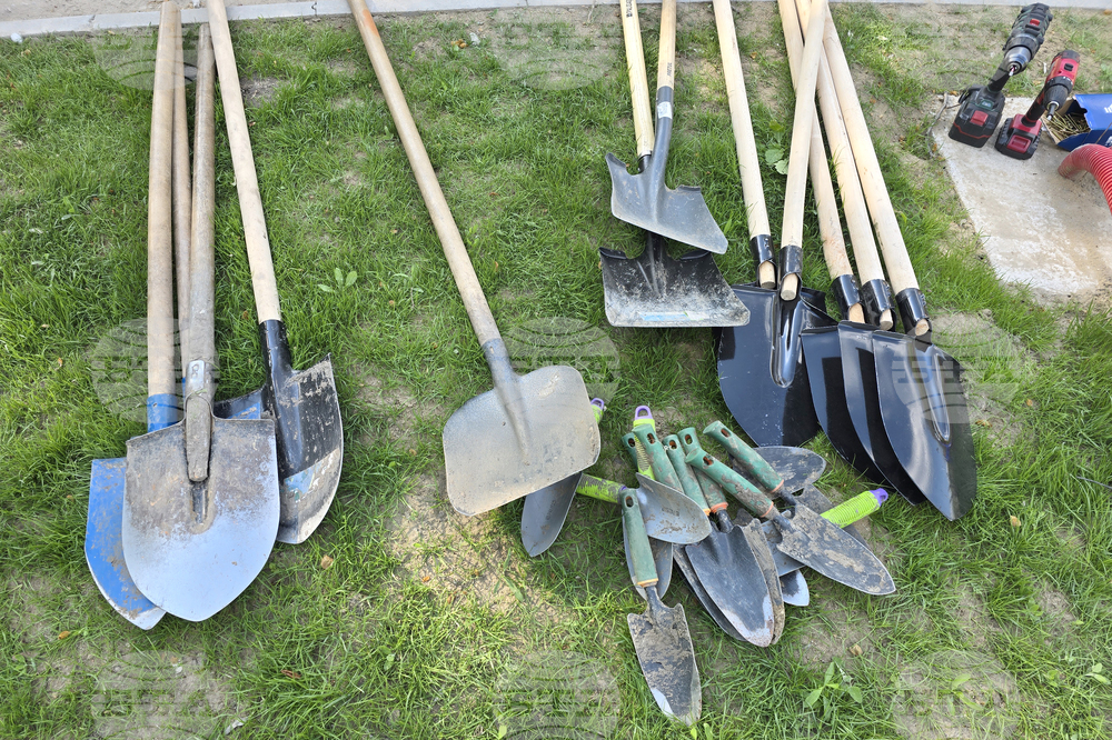 Видин - крайдунавски парк - залесяване - инициатива