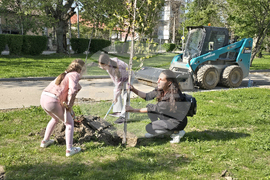 Видин - крайдунавски парк - залесяване - инициатива