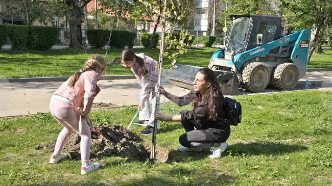 Община Видин засади 34 дръвчета в крайдунавския парк в инициатива с участието на доброволци