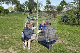 Видин - крайдунавски парк - залесяване - инициатива