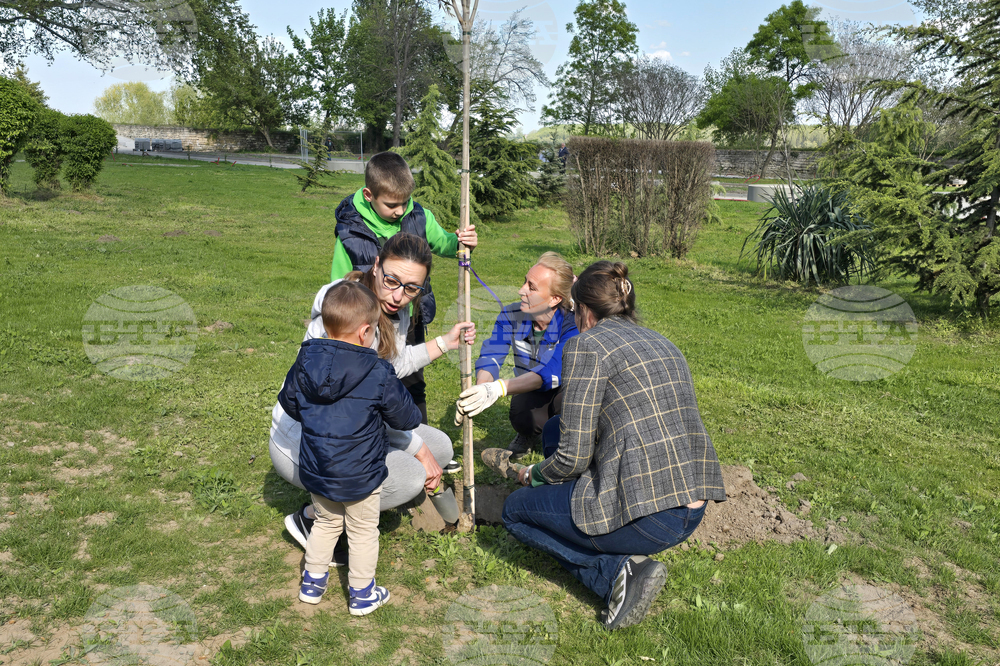 Видин - крайдунавски парк - залесяване - инициатива