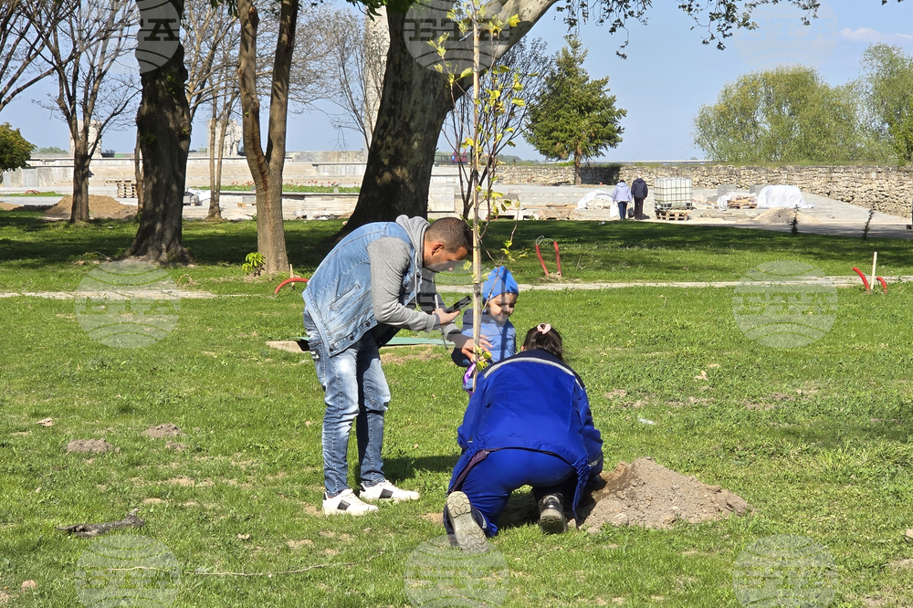 Видин - крайдунавски парк - залесяване - инициатива