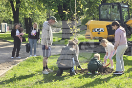 Видин - крайдунавски парк - залесяване - инициатива