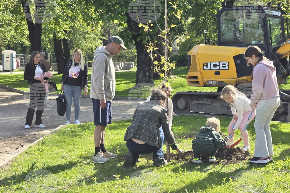 Видин - крайдунавски парк - залесяване - инициатива