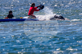Germany Whale Rescue
