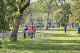 Видин - крайдунавски парк - залесяване - инициатива