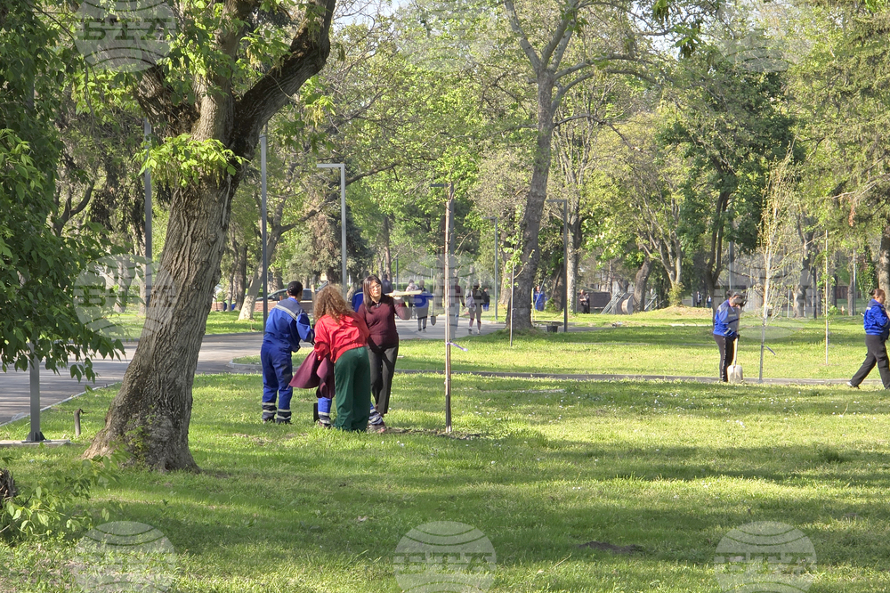 Видин - крайдунавски парк - залесяване - инициатива