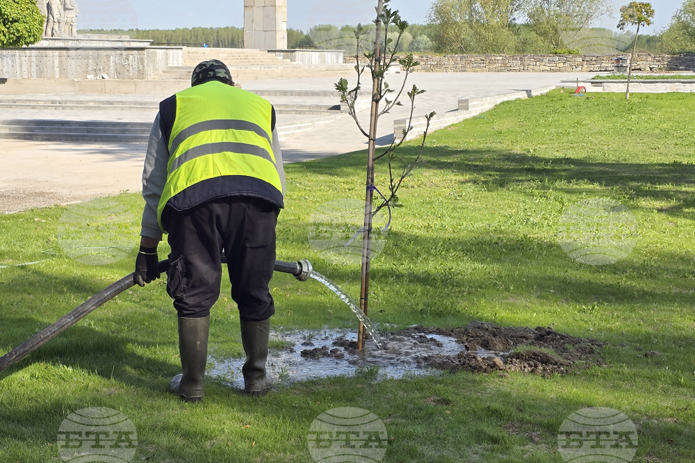 Видин - крайдунавски парк - залесяване - инициатива