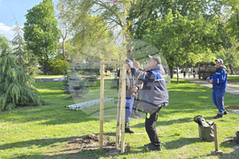 Видин - крайдунавски парк - залесяване - инициатива