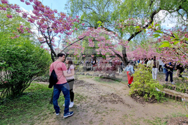 Румъния - Букурещ - японска градина