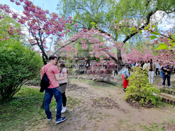 Румъния - Букурещ - японска градина