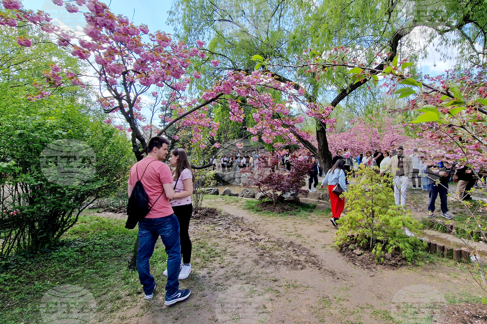 Румъния - Букурещ - японска градина