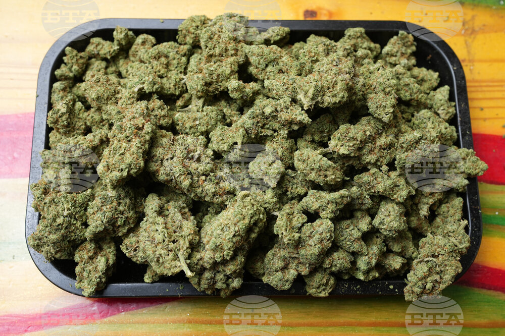 Trump Marijuana Reclassification