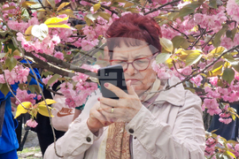 Румъния - Букурещ - японска градина