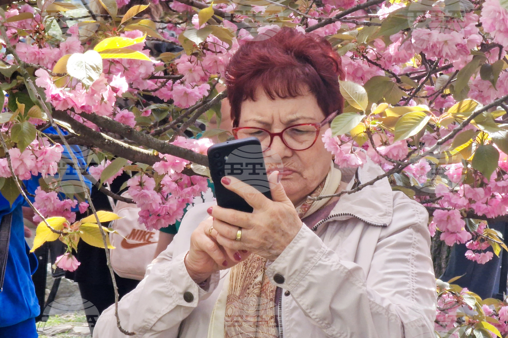 Румъния - Букурещ - японска градина